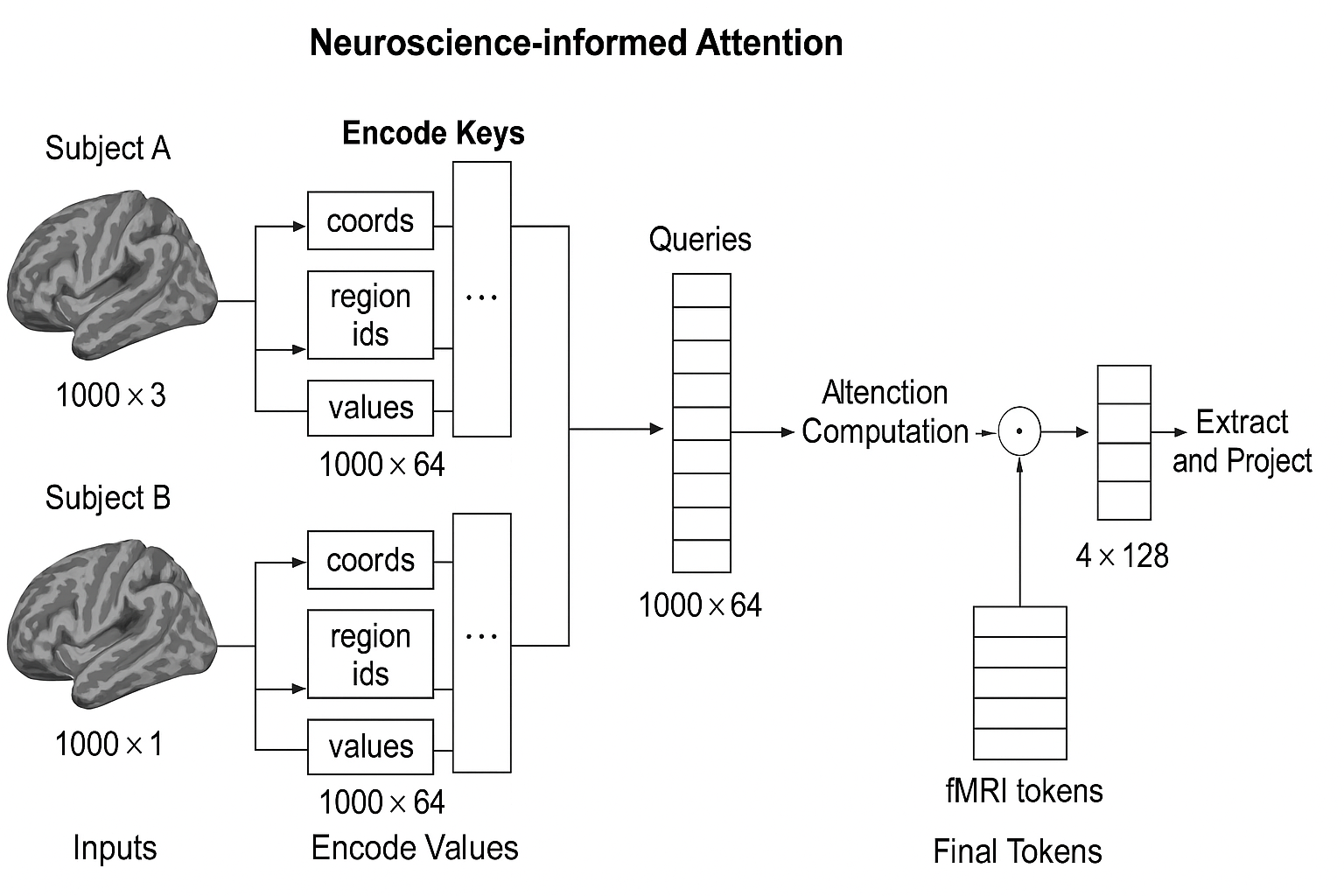 Neuroscience-Informed Attention Diagram