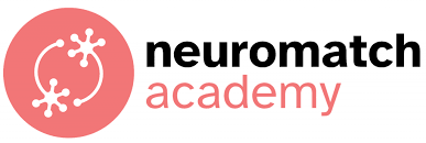 Neuromatch Academy Logo