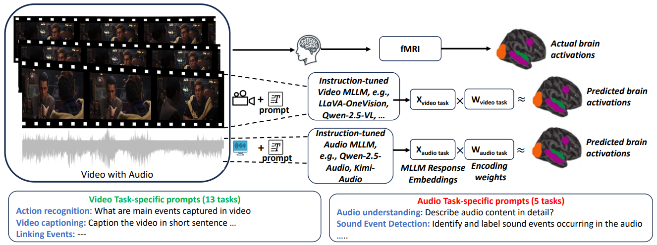 MLLM Brain Alignment Framework
